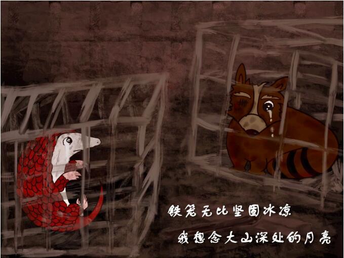 原创公益漫画丨保护野生动物,让穿山甲回家